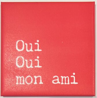 Magnete Oui oui mon ami