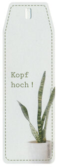 Cactus Kopf Hoch