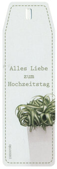 Cactus Alles Liebe zum Hochzeitstag