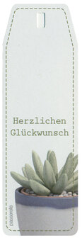 Cactus Herzlichen Gl&uuml;ckwunsch